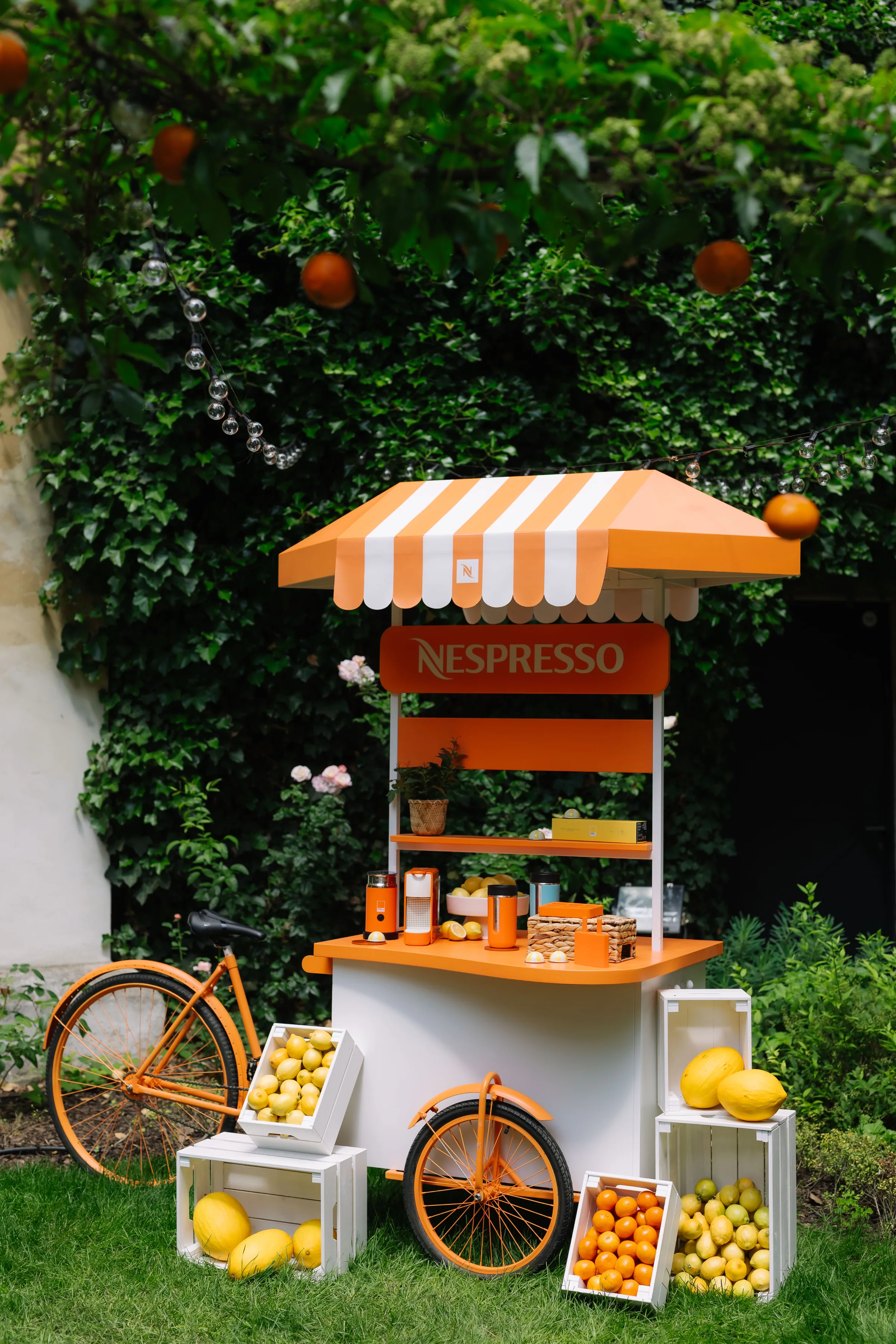 Instalace Nespresso — fotografie 5